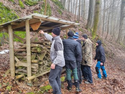 MP Incentives Firma - Führungskräftecoaching Führungskräftetraining - Teamtraining Teamcoaching Dresden Sachsen Zittau