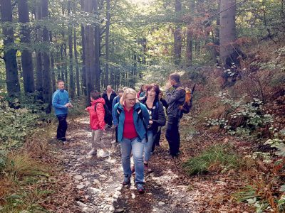 MP Incentives Firma - Führungskräftecoaching Führungskräftetraining - Teamtraining Teamcoaching Dresden Sachsen Zittau