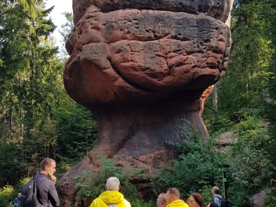 MP Incentives Firma - Führungskräftecoaching Führungskräftetraining - Teamtraining Teamcoaching Dresden Sachsen Zittau